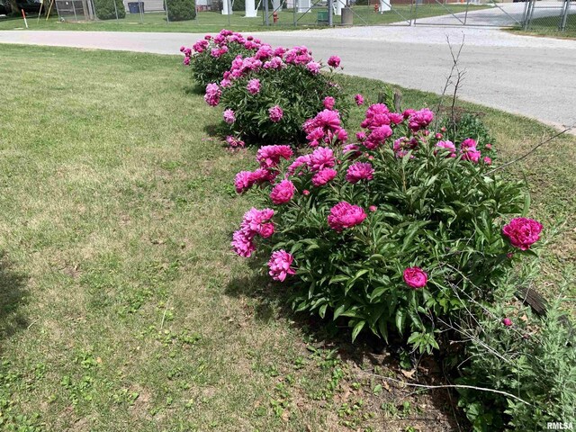 720 N 5th St, Monmouth, IL 61462 - photo 25
