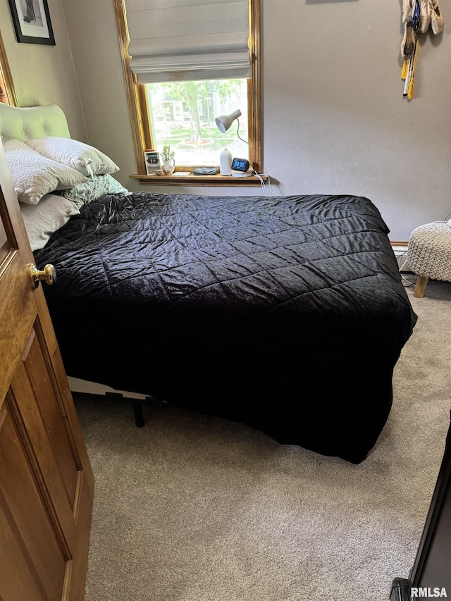409 N Broadway St, Havana, IL 62644 - bedroom with carpet