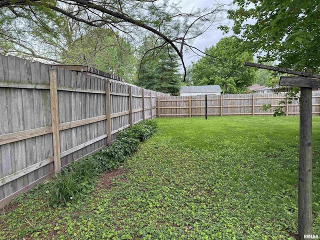 1352 N Lawrence Ave, Taylorville, IL 62568 - view of yard