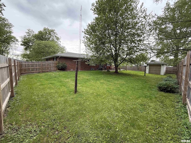 1352 N Lawrence Ave, Taylorville, IL 62568 - view of yard