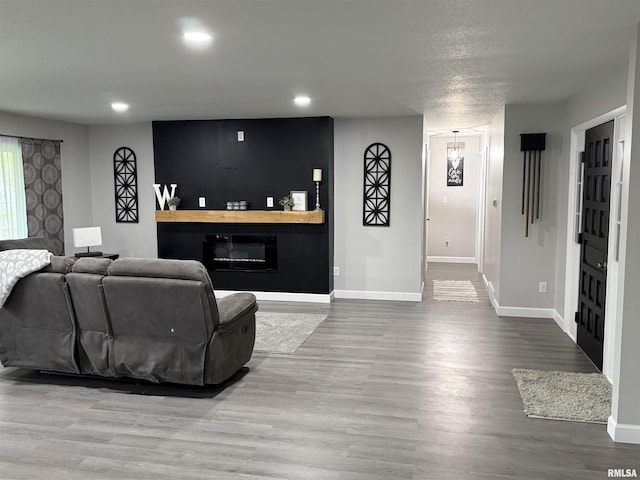1352 N Lawrence Ave, Taylorville, IL 62568 - living room with baseboards, a glass covered fireplace, wood finished floors, and recessed lighting