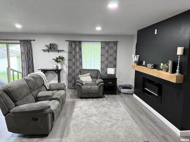 1352 N Lawrence Ave, Taylorville, IL 62568 - living room featuring wood finished floors, a fireplace, and recessed lighting