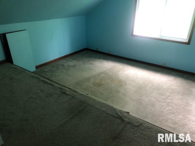 216 W Church St, Palmyra, MO 63461 - additional living space with carpet and lofted ceiling