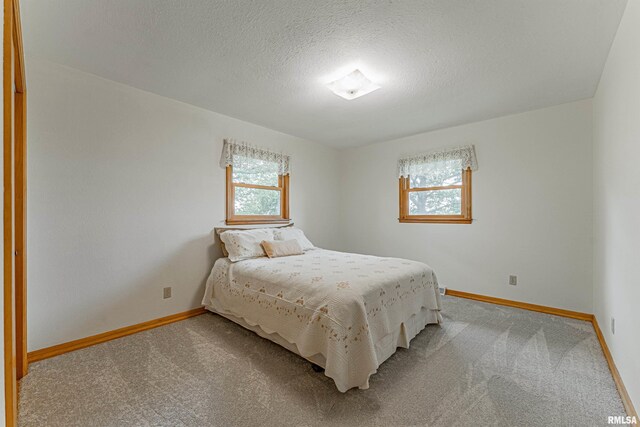 1598 700th Ave, Lincoln, IL 62656 - photo 23