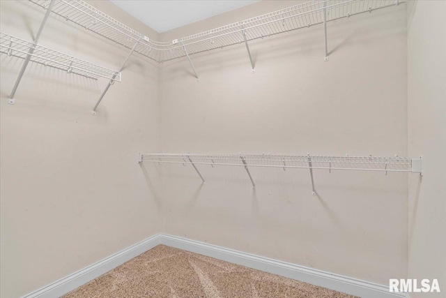 1809 Spartan Dr, Chatham, IL 62629 - spacious closet with carpet flooring