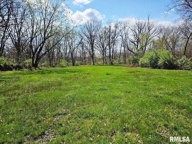 13973 Halliday Rd, Plainview, IL 62685