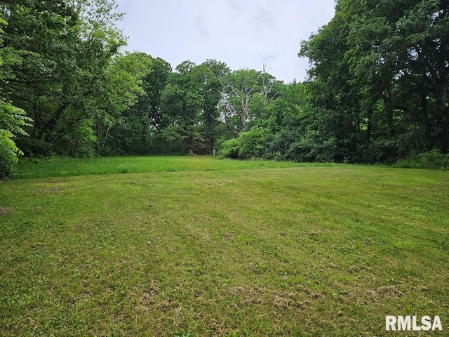 13973 Halliday Rd, Plainview, IL 62685