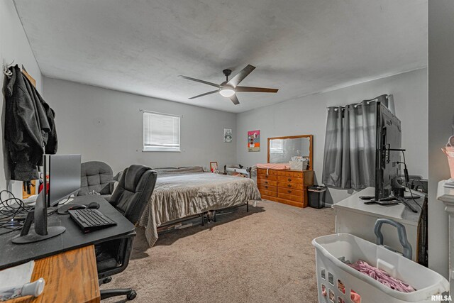 1873 1250th Ave, Lincoln, IL 62656 - photo 19