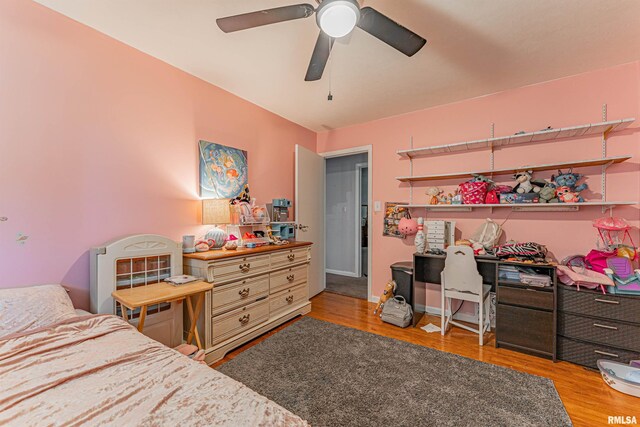 1873 1250th Ave, Lincoln, IL 62656 - photo 25