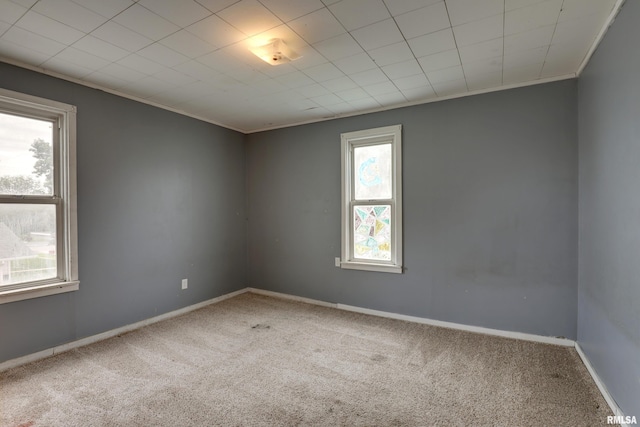 2911 Hampshire St, Quincy, IL 62301 - carpeted empty room with crown molding and baseboards