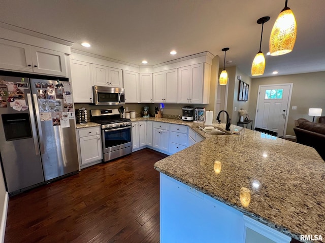 409 W Main St, Williamsville, IL 62693 - kitchen with stainless steel appliances, a peninsula, light stone counters, dark wood-type flooring, and white cabinets