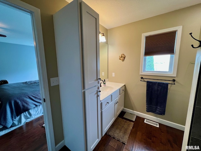 409 W Main St, Williamsville, IL 62693 - bathroom with vanity and wood finished floors