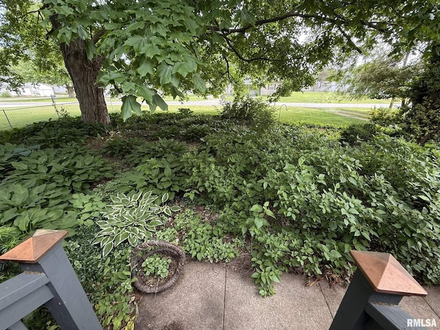 131 E Willard St, Wataga, IL 61488 - view of yard