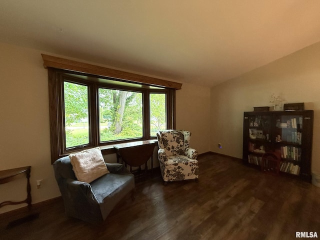 131 E Willard St, Wataga, IL 61488 - living area featuring wood finished floors and vaulted ceiling
