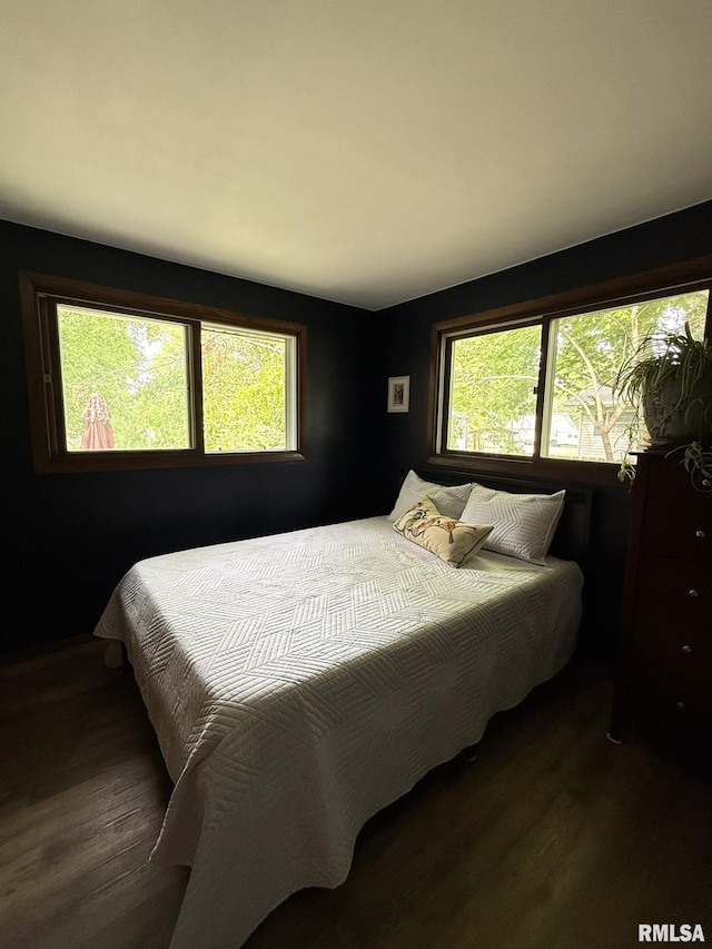 131 E Willard St, Wataga, IL 61488 - bedroom with multiple windows and wood finished floors