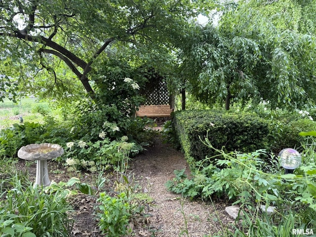 131 E Willard St, Wataga, IL 61488 - view of yard