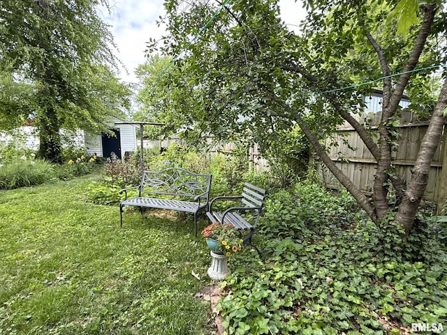 131 E Willard St, Wataga, IL 61488 - view of yard featuring an outbuilding