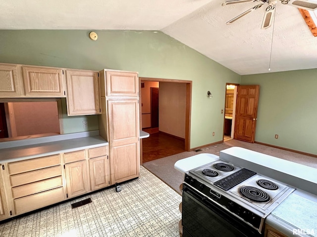 1617 S Clay Ave, South Jacksonville, IL 62650 - photo 9