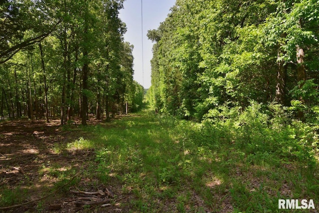 000 Robinson Hill Rd, Stonefort, IL 62987