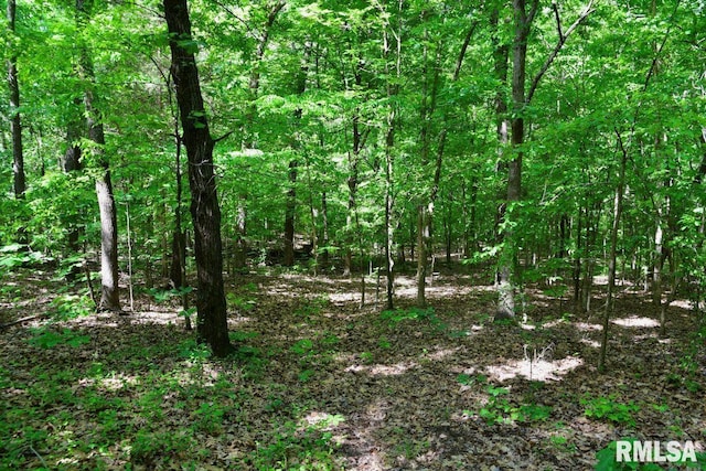 000 Robinson Hill Rd, Stonefort, IL 62987