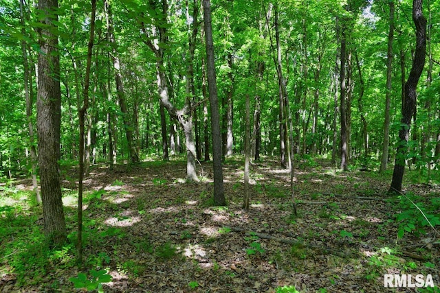000 Robinson Hill Rd, Stonefort, IL 62987