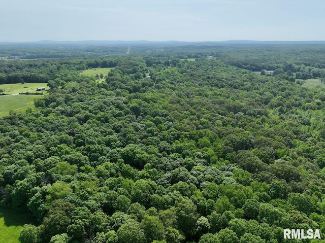 000 Robinson Hill Rd, Stonefort, IL 62987