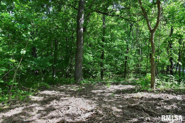 000 Robinson Hill Rd, Stonefort, IL 62987