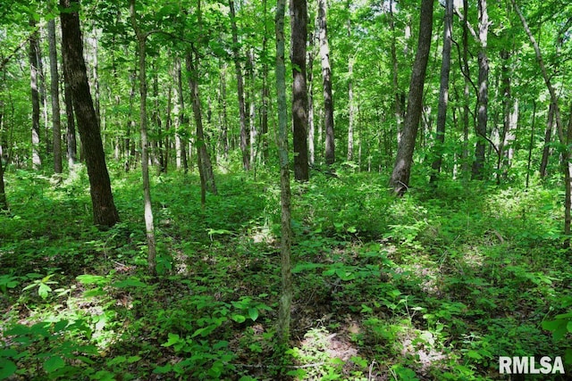 000 Robinson Hill Rd, Stonefort, IL 62987