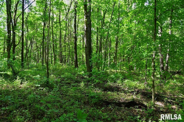 000 Robinson Hill Rd, Stonefort, IL 62987