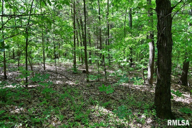 000 Robinson Hill Rd, Stonefort, IL 62987