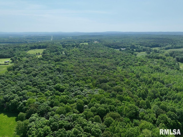 000 Robinson Hill Rd, Stonefort, IL 62987