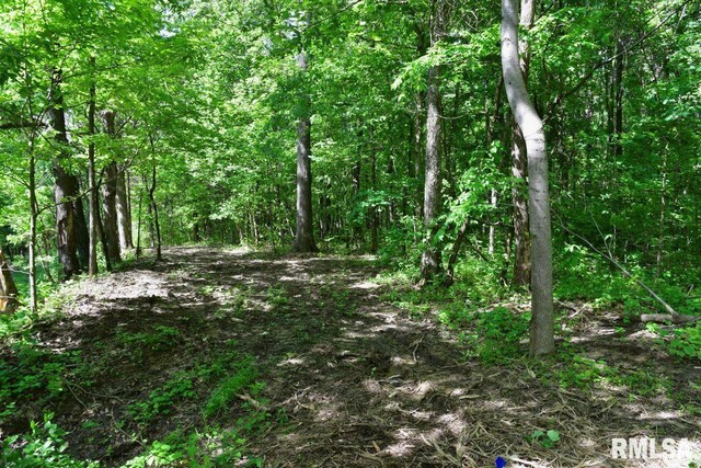 000 Robinson Hill Rd, Stonefort, IL 62987