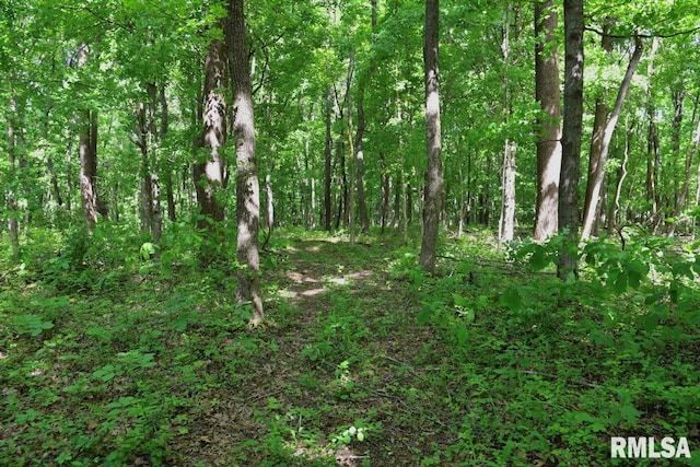 000 Robinson Hill Rd, Stonefort, IL 62987