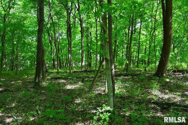 000 Robinson Hill Rd, Stonefort, IL 62987