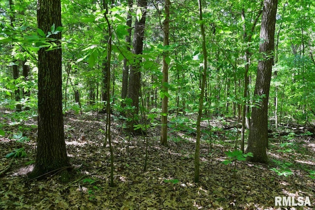 000 Robinson Hill Rd, Stonefort, IL 62987