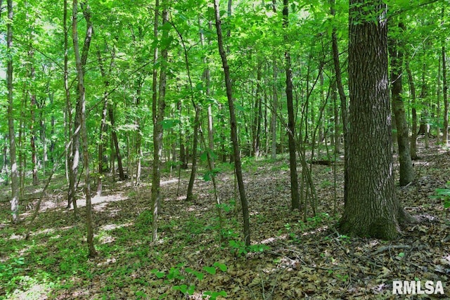 000 Robinson Hill Rd, Stonefort, IL 62987