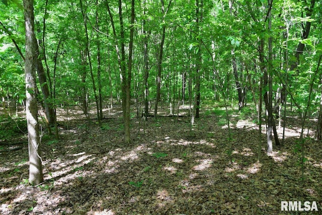 000 Robinson Hill Rd, Stonefort, IL 62987