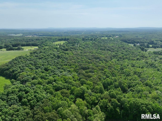 000 Robinson Hill Rd, Stonefort, IL 62987