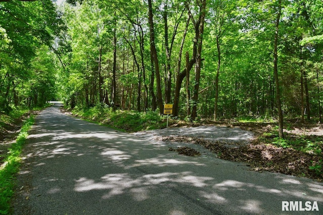 001 Robinson Hill Rd, Stonefort, IL 62987