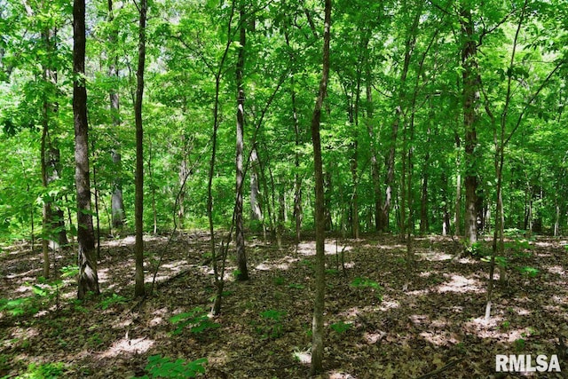 001 Robinson Hill Rd, Stonefort, IL 62987