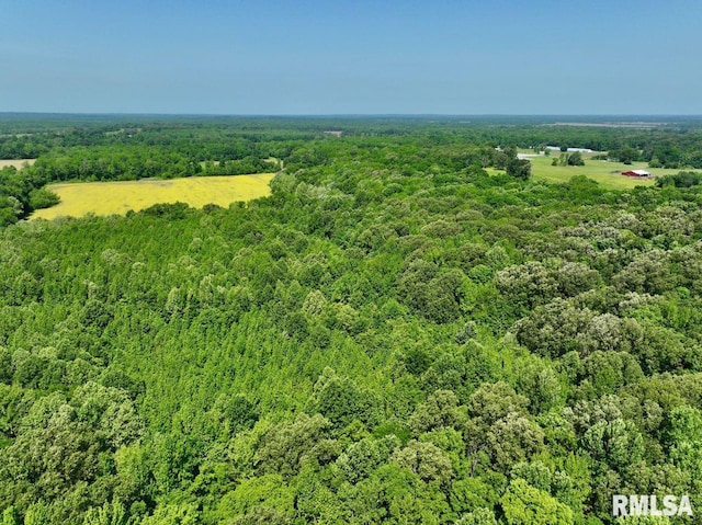 001 Robinson Hill Rd, Stonefort, IL 62987