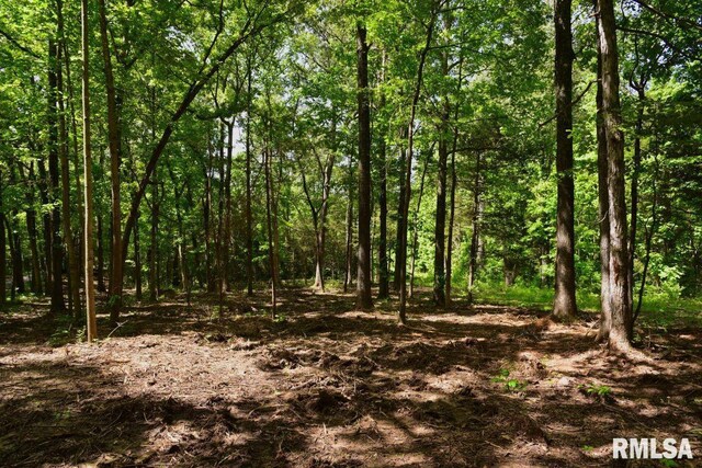 001 Robinson Hill Rd, Stonefort, IL 62987