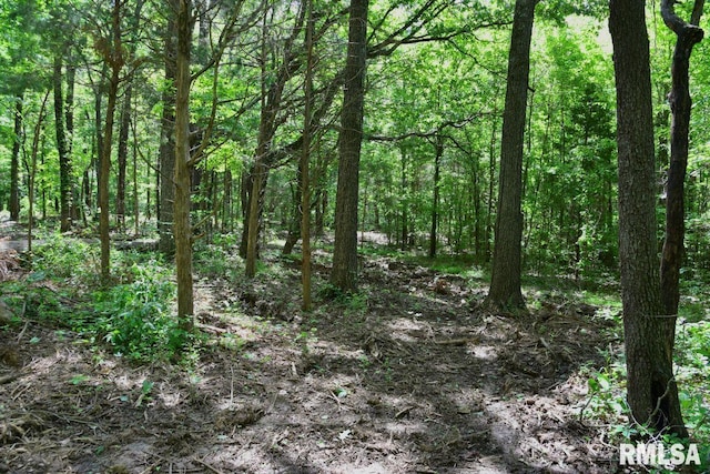001 Robinson Hill Rd, Stonefort, IL 62987