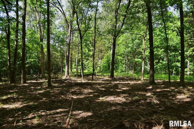 001 Robinson Hill Rd, Stonefort, IL 62987