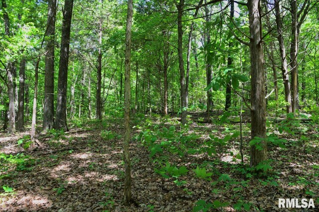 001 Robinson Hill Rd, Stonefort, IL 62987