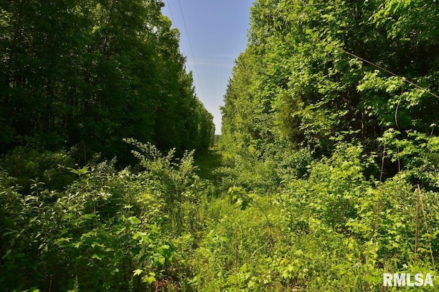 001 Robinson Hill Rd, Stonefort, IL 62987
