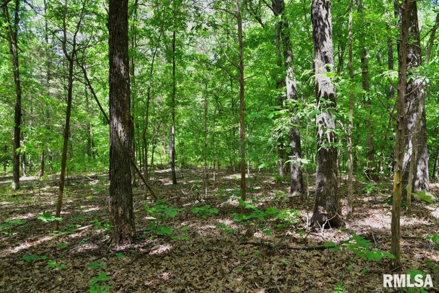 001 Robinson Hill Rd, Stonefort, IL 62987