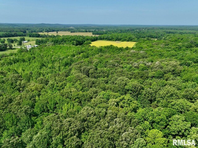 001 Robinson Hill Rd, Stonefort, IL 62987