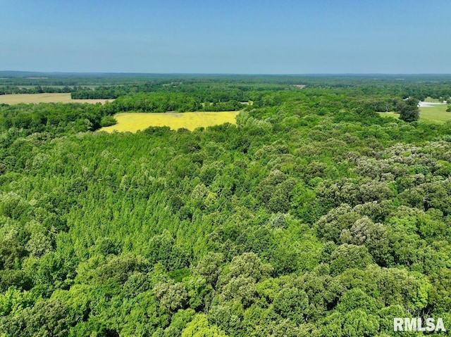 001 Robinson Hill Rd, Stonefort, IL 62987