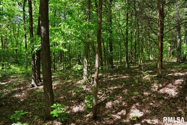 001 Robinson Hill Rd, Stonefort, IL 62987